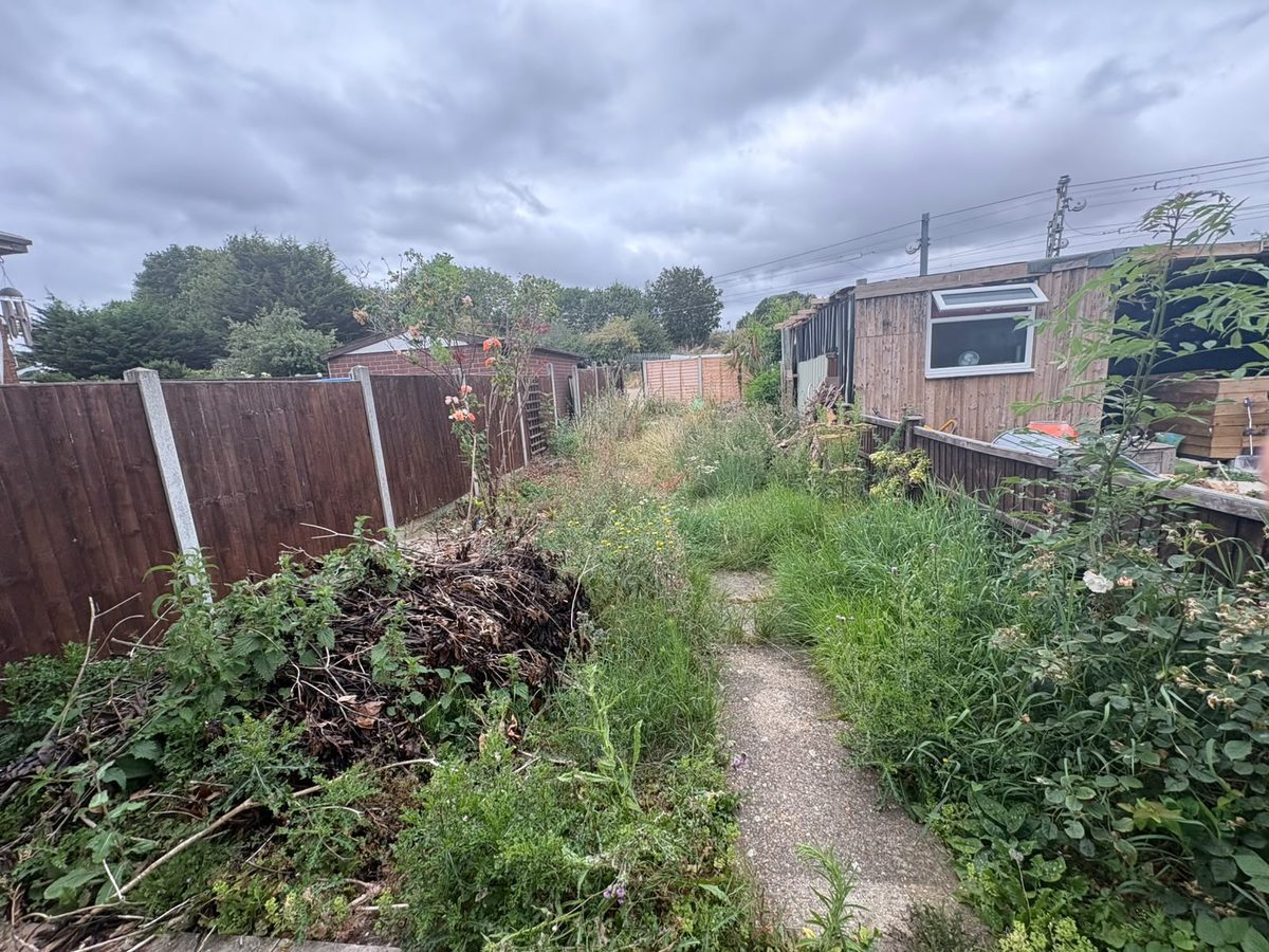 Long garden overgrown with weeds