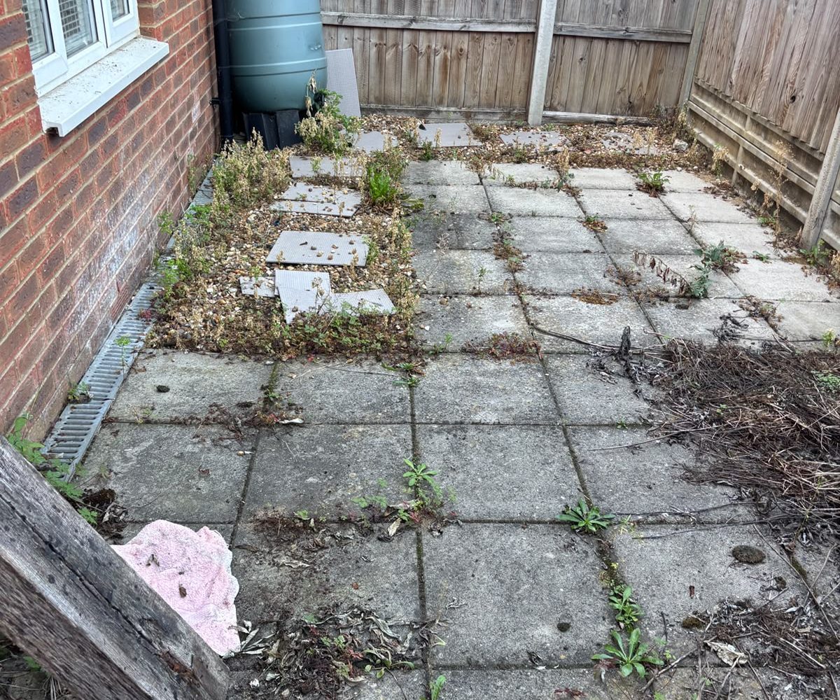 Weedy patio before cleaning