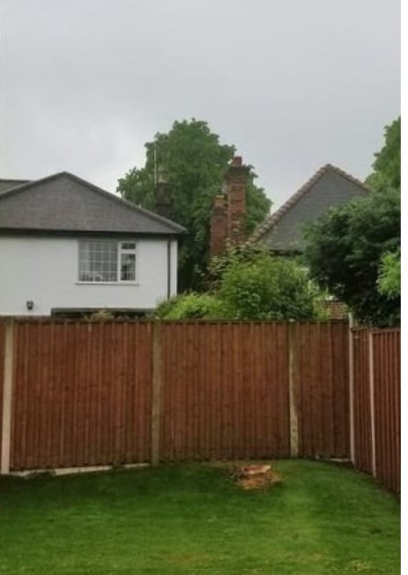Garden after tree removal